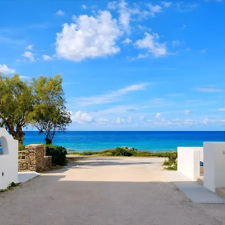 Ostria Vento Pollonia