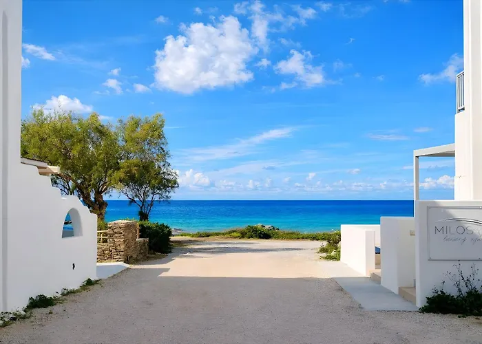 Ostria Vento Pollonia